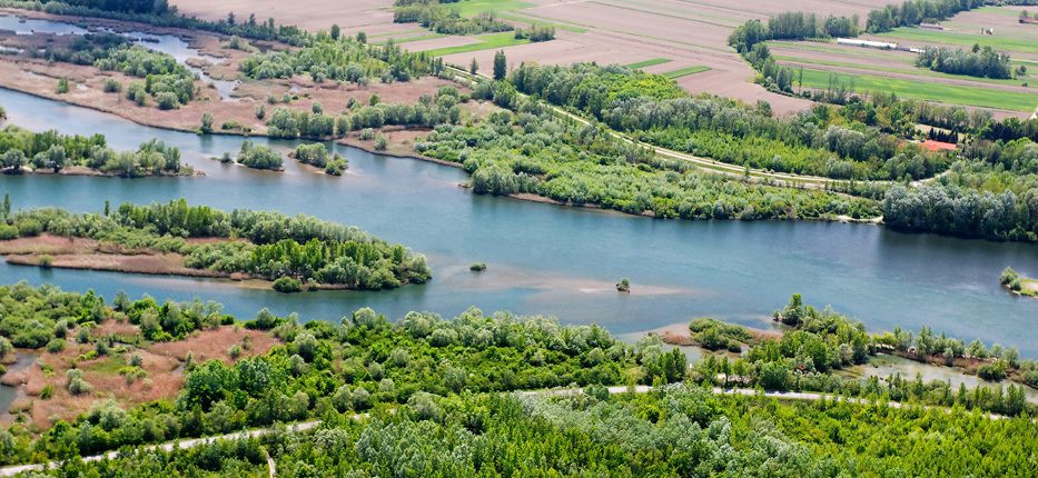 Stani ta Na Dravi Poplavne ume Vla ni Travnjaci Drava life hr