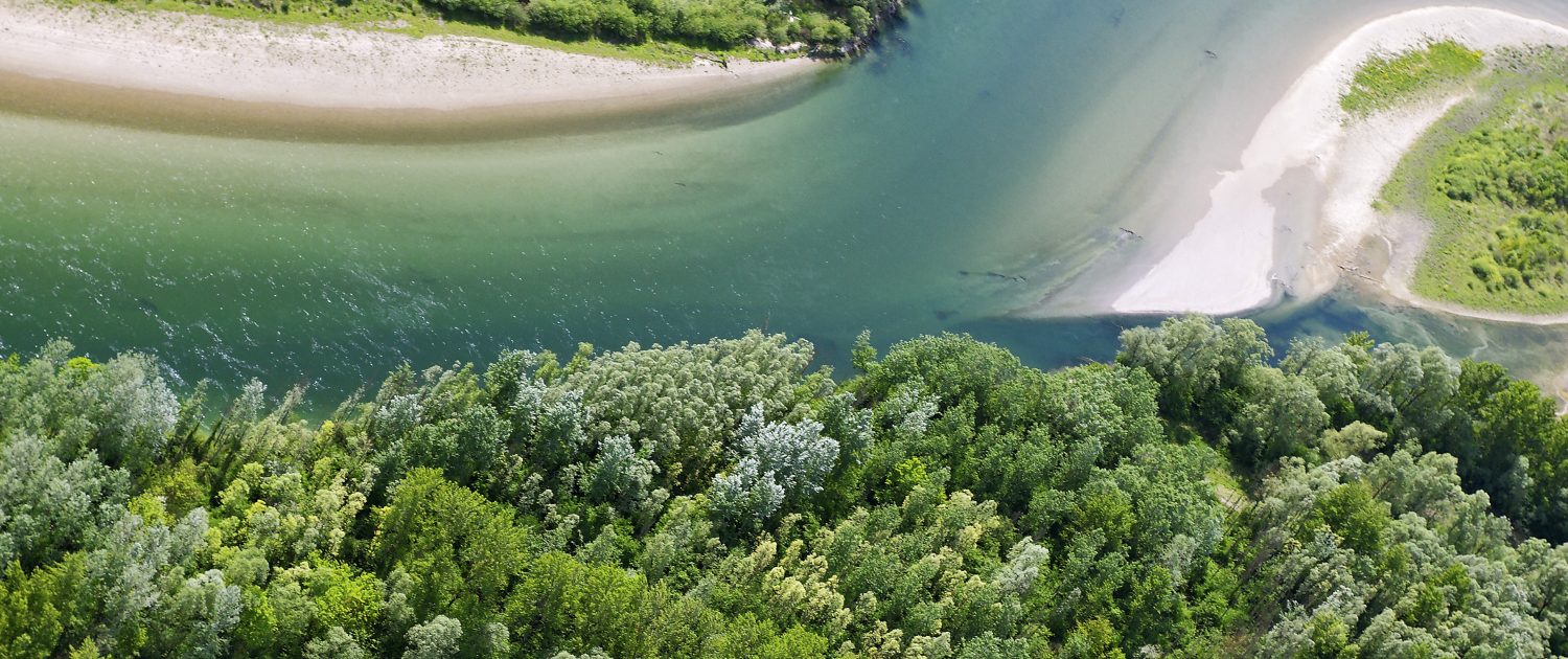 Drava River Drava Life