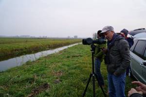Arno Mohl iz WWF Austrije promatra jata migrirajućih sivih gusaka u Kopačkom ritu
