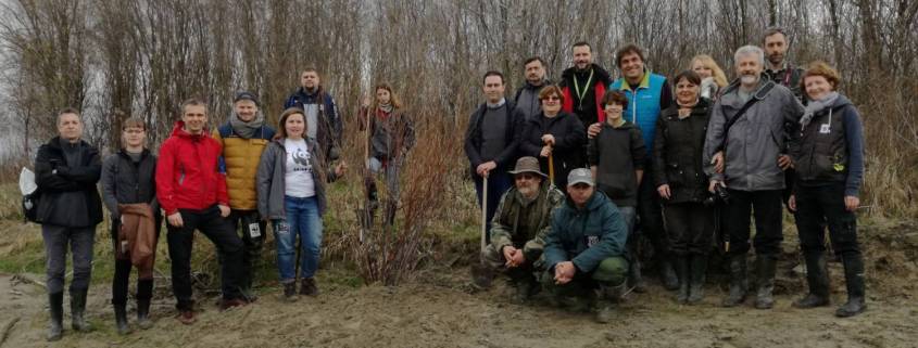 Reintrodukcija riječnih biljaka uz Dravu/Reintroduction of riverine plants within the Drava Life project